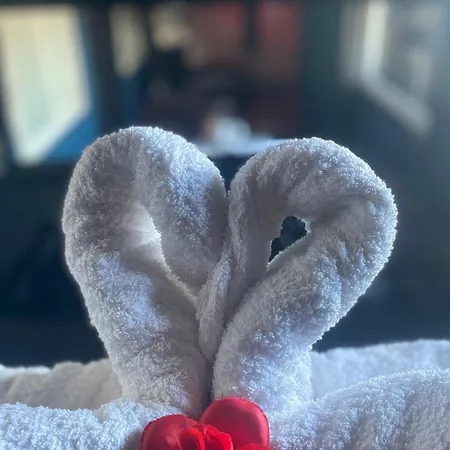 Love hôtel La - *